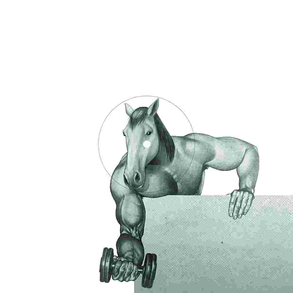 The Gym 002